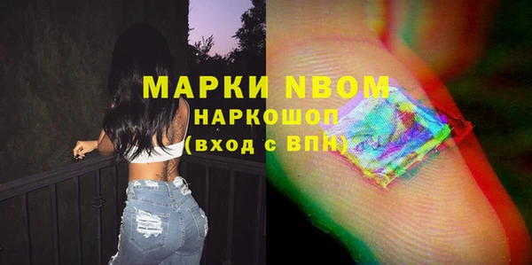 ПСИЛОЦИБИНОВЫЕ ГРИБЫ Арсеньев