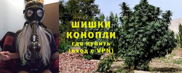 ПСИЛОЦИБИНОВЫЕ ГРИБЫ Арсеньев