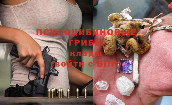 ПСИЛОЦИБИНОВЫЕ ГРИБЫ Арсеньев