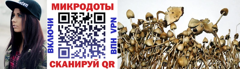 Псилоцибиновые грибы Psilocybe  Поронайск 